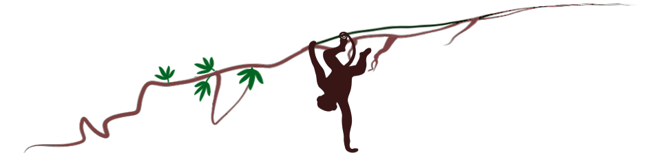 Vine Image